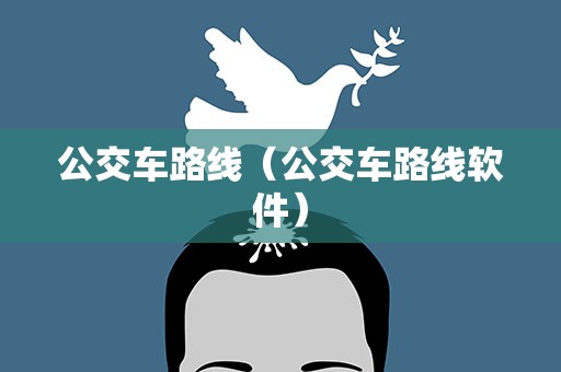 公交车路线（公交车路线软件）