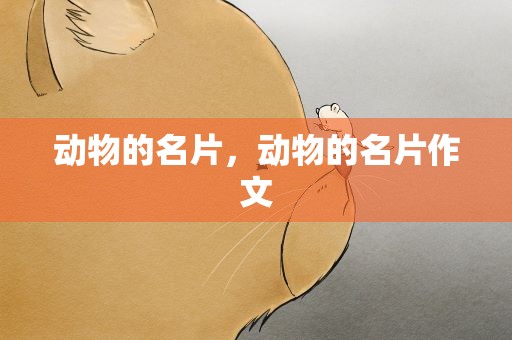 动物的名片，动物的名片作文