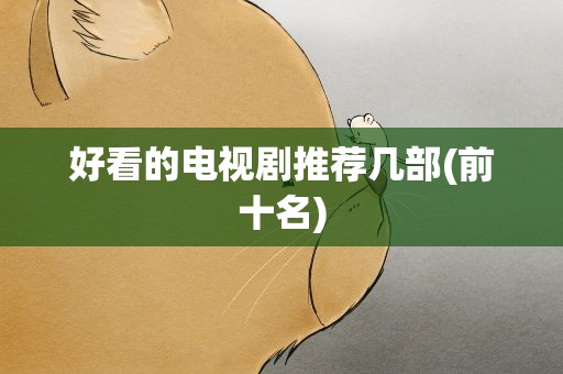 好看的电视剧推荐几部(前十名)