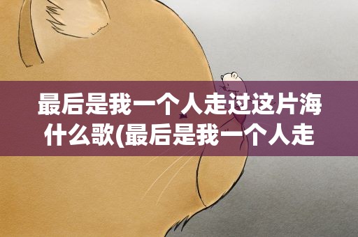 最后是我一个人走过这片海什么歌(最后是我一个人走过这片海什么歌词)