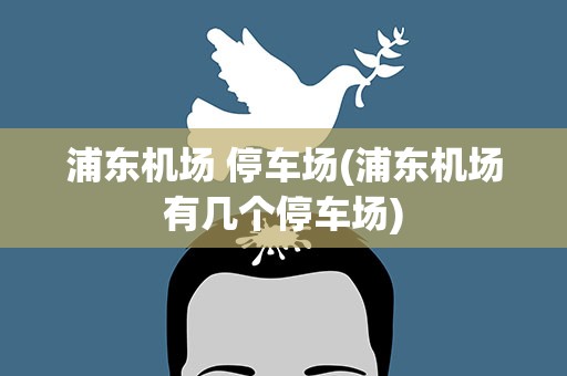 浦东机场 停车场(浦东机场有几个停车场)