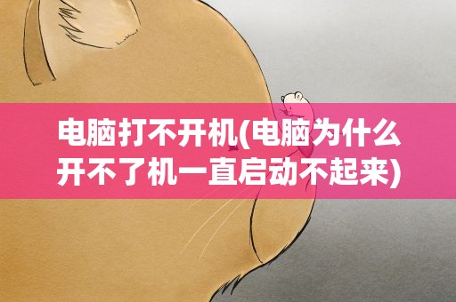 电脑打不开机(电脑为什么开不了机一直启动不起来)