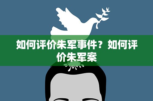 如何评价朱军事件？如何评价朱军案