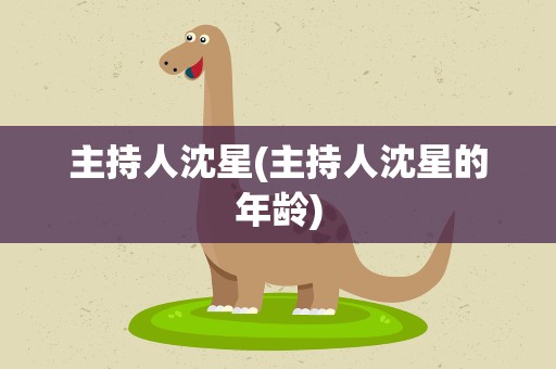 主持人沈星(主持人沈星的年龄)