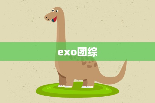 exo团综