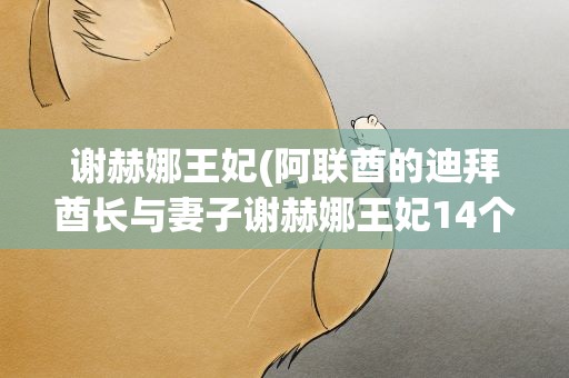 谢赫娜王妃(阿联酋的迪拜酋长与妻子谢赫娜王妃14个儿女的照片和资料、)