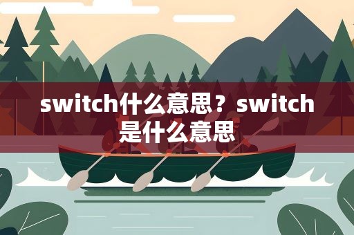 switch什么意思？switch是什么意思