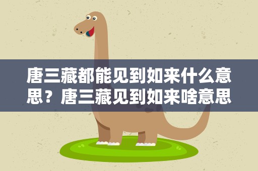 唐三藏都能见到如来什么意思？唐三藏见到如来啥意思