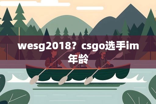 wesg2018？csgo选手im年龄
