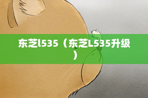 东芝l535（东芝L535升级）