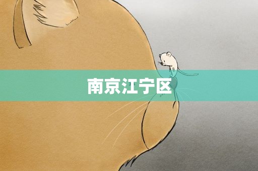 南京江宁区