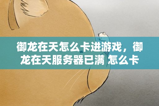 御龙在天怎么卡进游戏，御龙在天服务器已满 怎么卡进