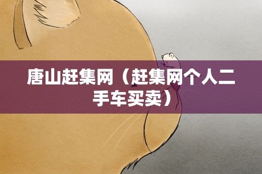 唐山赶集网（赶集网个人二手车买卖）