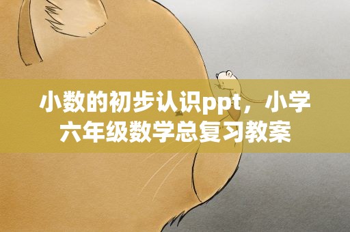 小数的初步认识ppt，小学六年级数学总复习教案