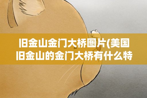 旧金山金门大桥图片(美国旧金山的金门大桥有什么特色)