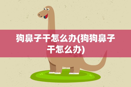 狗鼻子干怎么办(狗狗鼻子干怎么办)