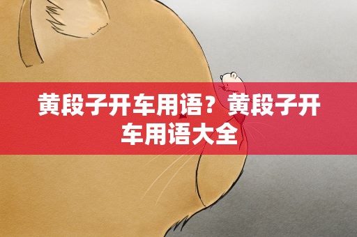 黄段子开车用语？黄段子开车用语大全