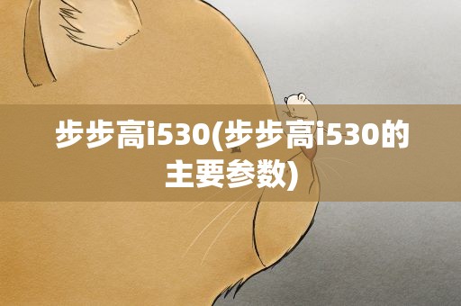 步步高i530(步步高i530的主要参数)