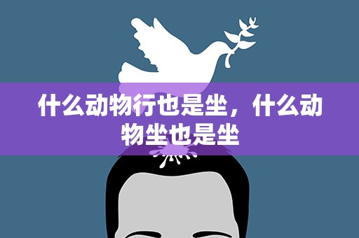什么动物行也是坐，什么动物坐也是坐