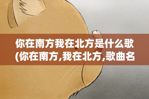 你在南方我在北方是什么歌(你在南方,我在北方,歌曲名字叫什么)