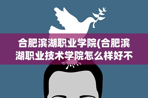 合肥滨湖职业学院(合肥滨湖职业技术学院怎么样好不好)