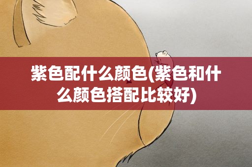 紫色配什么颜色(紫色和什么颜色搭配比较好)