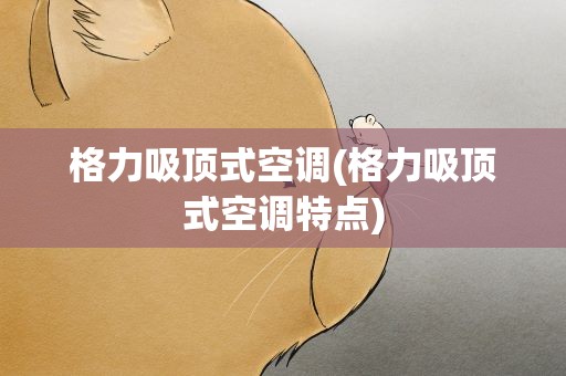 格力吸顶式空调(格力吸顶式空调特点)