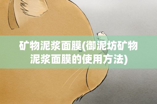 矿物泥浆面膜(御泥坊矿物泥浆面膜的使用方法)