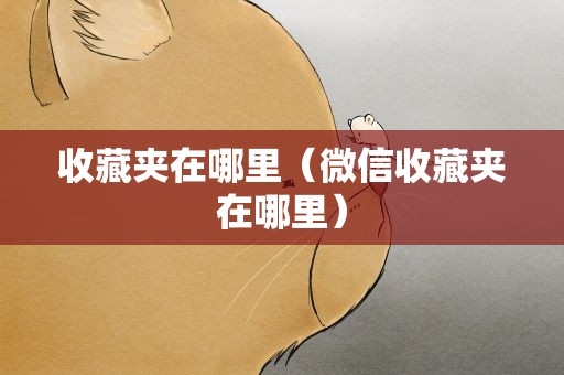 收藏夹在哪里（微信收藏夹在哪里）