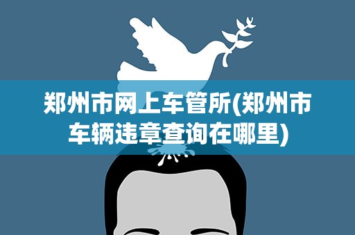 郑州市网上车管所(郑州市车辆违章查询在哪里)