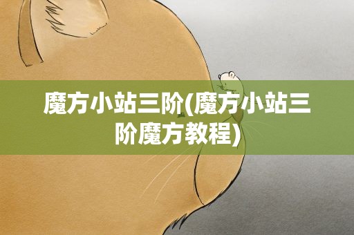 魔方小站三阶(魔方小站三阶魔方教程)