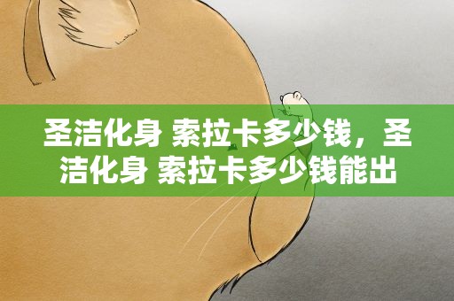圣洁化身 索拉卡多少钱，圣洁化身 索拉卡多少钱能出