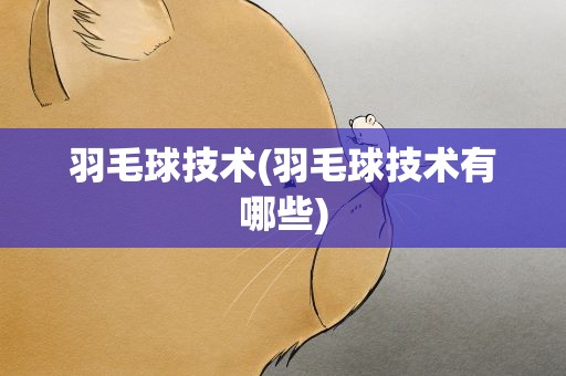 羽毛球技术(羽毛球技术有哪些)