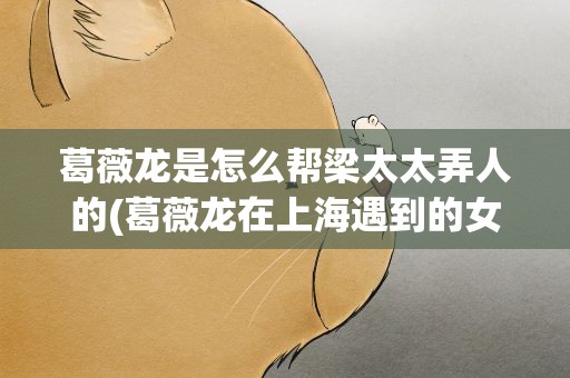 葛薇龙是怎么帮梁太太弄人的(葛薇龙在上海遇到的女人是谁)