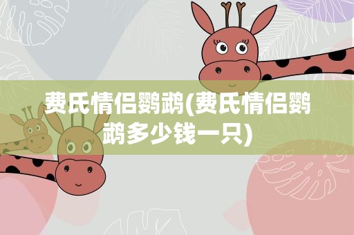 费氏情侣鹦鹉(费氏情侣鹦鹉多少钱一只)