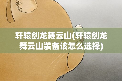 轩辕剑龙舞云山(轩辕剑龙舞云山装备该怎么选择)