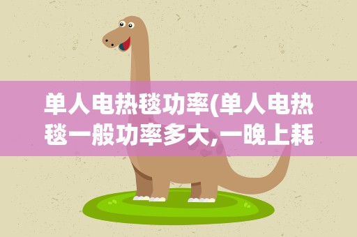 单人电热毯功率(单人电热毯一般功率多大,一晚上耗多少度电。)
