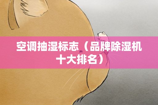 空调抽湿标志（品牌除湿机十大排名）