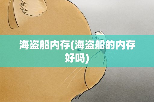 海盗船内存(海盗船的内存好吗)