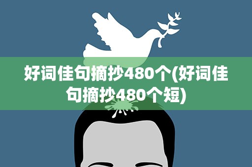 好词佳句摘抄480个(好词佳句摘抄480个短)