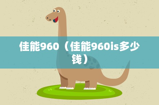 佳能960（佳能960is多少钱）