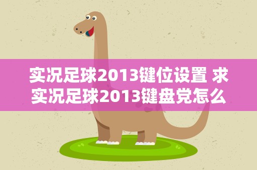实况足球2013键位设置 求实况足球2013键盘党怎么设置