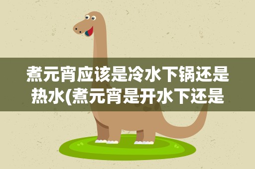 煮元宵应该是冷水下锅还是热水(煮元宵是开水下还是冷水下)