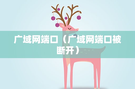 广域网端口（广域网端口被断开）