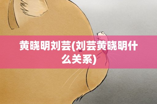 黄晓明刘芸(刘芸黄晓明什么关系)