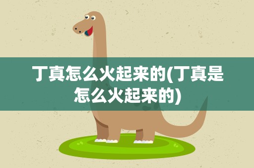 丁真怎么火起来的(丁真是怎么火起来的)