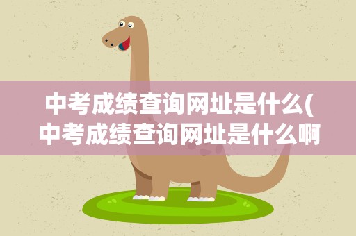中考成绩查询网址是什么(中考成绩查询网址是什么啊)