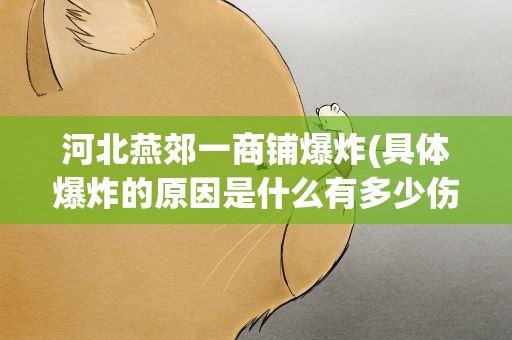 河北燕郊一商铺爆炸(具体爆炸的原因是什么有多少伤亡)