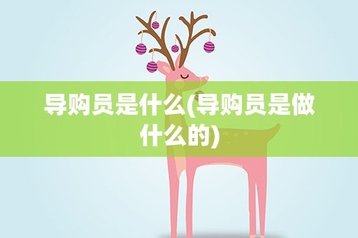 导购员是什么(导购员是做什么的)