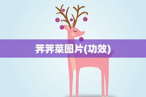 荠荠菜图片(功效)